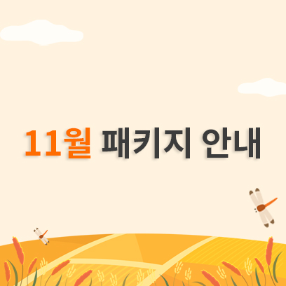 11월 패키지