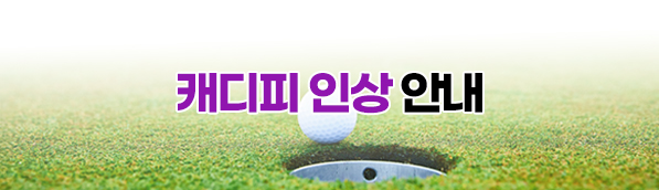캐디피인상