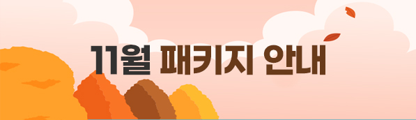 11월 패키지