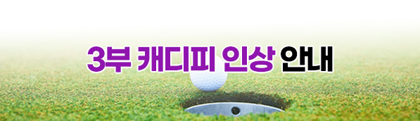3부캐디피